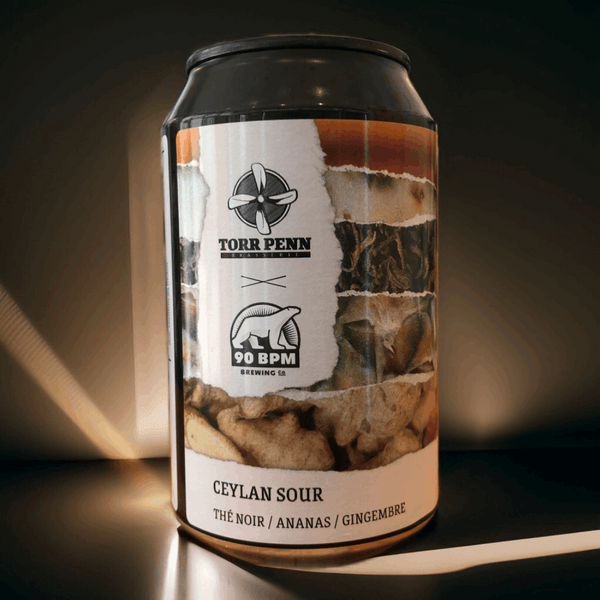 Ceylan Sour 33cl (4,5%) - Torr Penn X 90 BPM