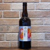 IPA sans alcool 75cl de la brasserie Cambier