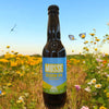 Musse Session IPA 33cl (4,6%) - La Muette