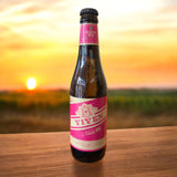 Nada IPA sans alcool 33cl (0,3%) - Viven