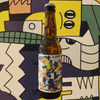 Spring IPA 33cl (4,9%) - La Rombière